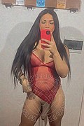 Milano Trans Aline Gomes Pornostar Xxl 328 59 30 377 foto selfie 16