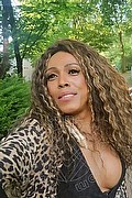 Mestre Trans Paolina Mulatta 333 29 10 933 foto selfie 17