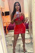 Milano Trans Erika Backster 320 03 97 565 foto selfie 17