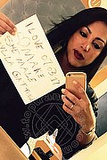 San Paolo Trans Aylla Gattina Pornostar 347 08 83 203 foto selfie 47