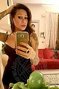Rimini Trans Alessandra Toledo Pornostar 339 67 43 933 foto selfie 234
