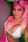  Trans Vanessa Martinez 344 61 31 802 foto selfie 17