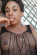 Brescia Trans Lucrezya 392 81 21 593 foto selfie 6
