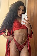Novara Trans Miele 331 78 08 280 foto selfie 66