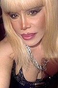 Milano Trans Nicole Vip Venturiny 353 35 38 868 foto selfie 630