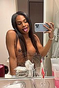 D�sseldorf Trans Adhara  004915212409124 foto selfie 1