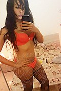 Roma Trans Pryscilla 379 14 66 730 foto selfie 43