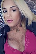 Milano Trans Sofia Rabello 333 53 85 829 foto selfie 27