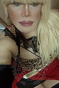 Milano Trans Nicole Vip Venturiny 353 35 38 868 foto selfie 571