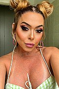 Brescia Trans Marzia Ts 339 10 18 929 foto selfie 43