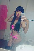 Salvador Bahia Trans Stephanie  005571993836812 foto selfie 40
