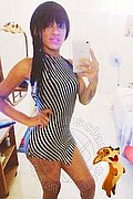 Salvador Bahia Trans Stephanie  005571993836812 foto selfie 20