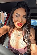 Verona Trans Thayys Castro 329 72 89 046 foto selfie 15