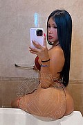 Rimini Trans Thays 389 99 14 525 foto selfie 3