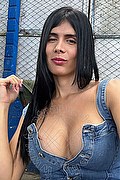 Colle Di Val D'elsa Trans Ivanna 333 52 19 542 foto selfie 3