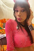 Ponte Chiasso Trans Marcella Pops 334 97 32 705 foto selfie 19