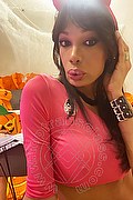 Alessandria Trans Marcella Pops 351 29 33 730 foto selfie 19