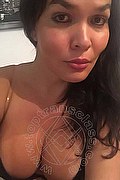 Piacenza Trans Camilla S 334 35 77 816 foto selfie 39