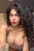 Novara Trans Miele 331 78 08 280 foto selfie 39