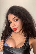 Novara Trans Miele 331 78 08 280 foto selfie 35