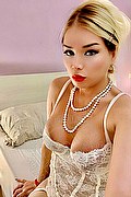 Firenze Trans Karla Mishelle 339 38 86 742 foto selfie 43