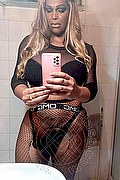 Pavia Trans Channel 338 40 97 317 foto selfie 9