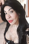 Prato Trans Taina Oliveira 328 53 82 487 foto selfie 5