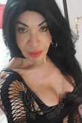 Prato Trans Tain� Oliveira 328 53 82 487 foto selfie 47