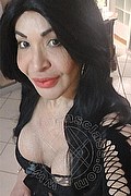 Prato Trans Tain� Oliveira 328 53 82 487 foto selfie 46