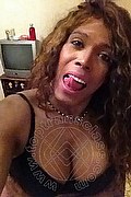 Mestre Trans Paolina Mulatta 333 29 10 933 foto selfie 4