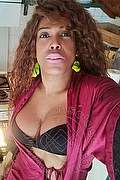 Mestre Trans Paolina Mulatta 333 29 10 933 foto selfie 1