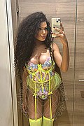 Novara Trans Miele 331 78 08 280 foto selfie 8