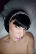 Novi Ligure Trans Stefania Zanco 379 23 74 980 foto selfie 1