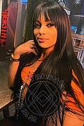 Milano Trans Rafaela Bastos 329 55 79 942 foto selfie 25