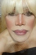Milano Trans Nicole Vip Venturiny 353 35 38 868 foto selfie 531