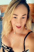 Roma Trans Gabriella Novit� 351 04 47 330 foto selfie 50