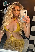 Milano Trans Fernanda Ambrosio 327 78 03 350 foto selfie 29