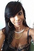 Sanremo Trans Vivy Noronha 333 18 67 209 foto selfie 17