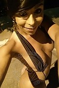 Sanremo Trans Vivy Noronha 333 18 67 209 foto selfie 19