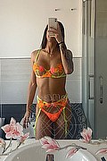 Firenze Trans Beatrice 392 44 06 160 foto selfie 18