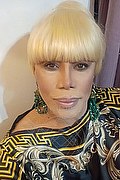 Milano Trans Nicole Vip Venturiny 353 35 38 868 foto selfie 515