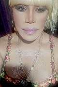 Milano Trans Nicole Vip Venturiny 353 35 38 868 foto selfie 491