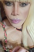 Milano Trans Nicole Vip Venturiny 353 35 38 868 foto selfie 469
