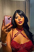 Civitanova Marche Trans Melly Armany 389 79 24 141 foto selfie 5