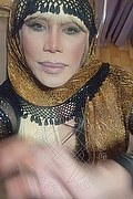 Milano Trans Nicole Vip Venturiny 353 35 38 868 foto selfie 314