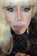 Milano Trans Nicole Vip Venturiny 353 35 38 868 foto selfie 236