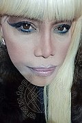 Milano Trans Nicole Vip Venturiny 353 35 38 868 foto selfie 226