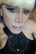 Milano Trans Nicole Vip Venturiny 353 35 38 868 foto selfie 223