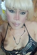 Milano Trans Nicole Vip Venturiny 353 35 38 868 foto selfie 171