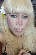 Milano Trans Nicole Vip Venturiny 353 35 38 868 foto selfie 132